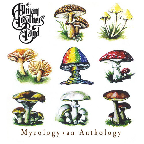 ALLMAN BROTHERS BAND - MYCOLOGY: AN ANTHOLOGYALLMAN BROTHERS BAND - MYCOLOGY - AN ANTHOLOGY.jpg